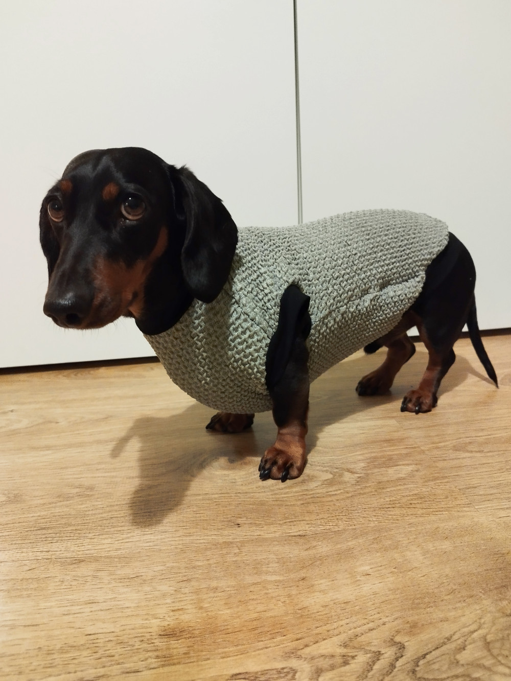 NRDOGS Kutyaruha Fuxia NRDOGS Kutyaruha Fuxia