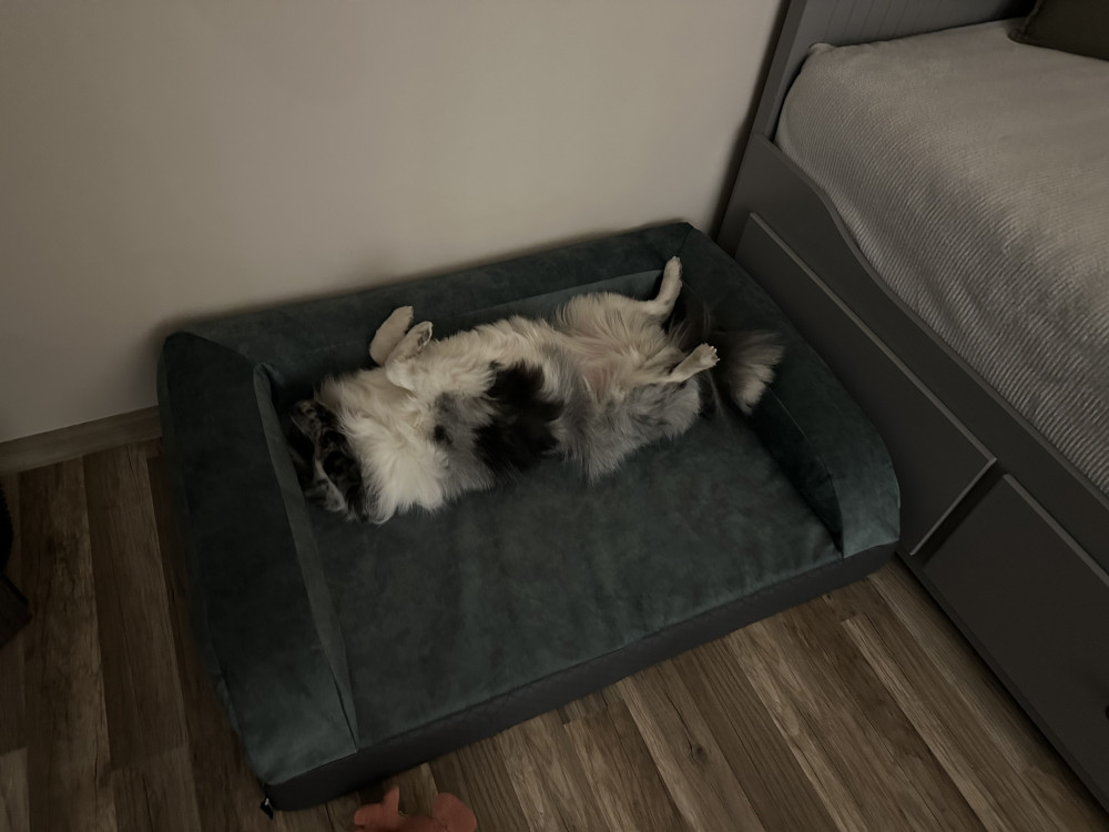 Ortoped Pro Kutyafekhely Soft Magic Ocean
