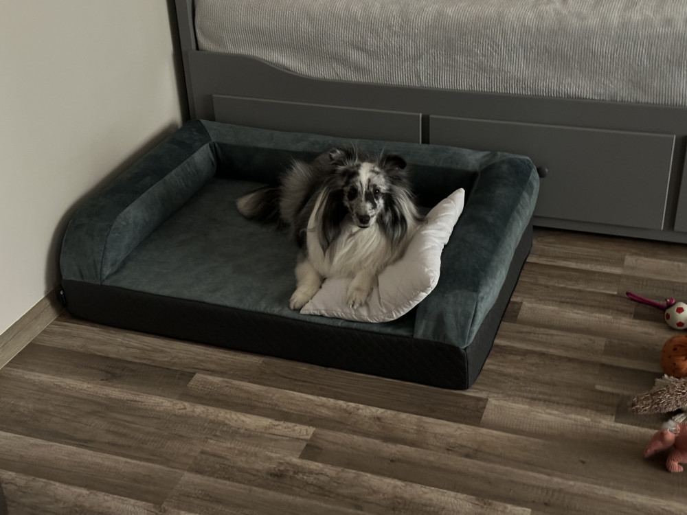 Ortoped Pro Kutyafekhely Soft Magic Ocean
