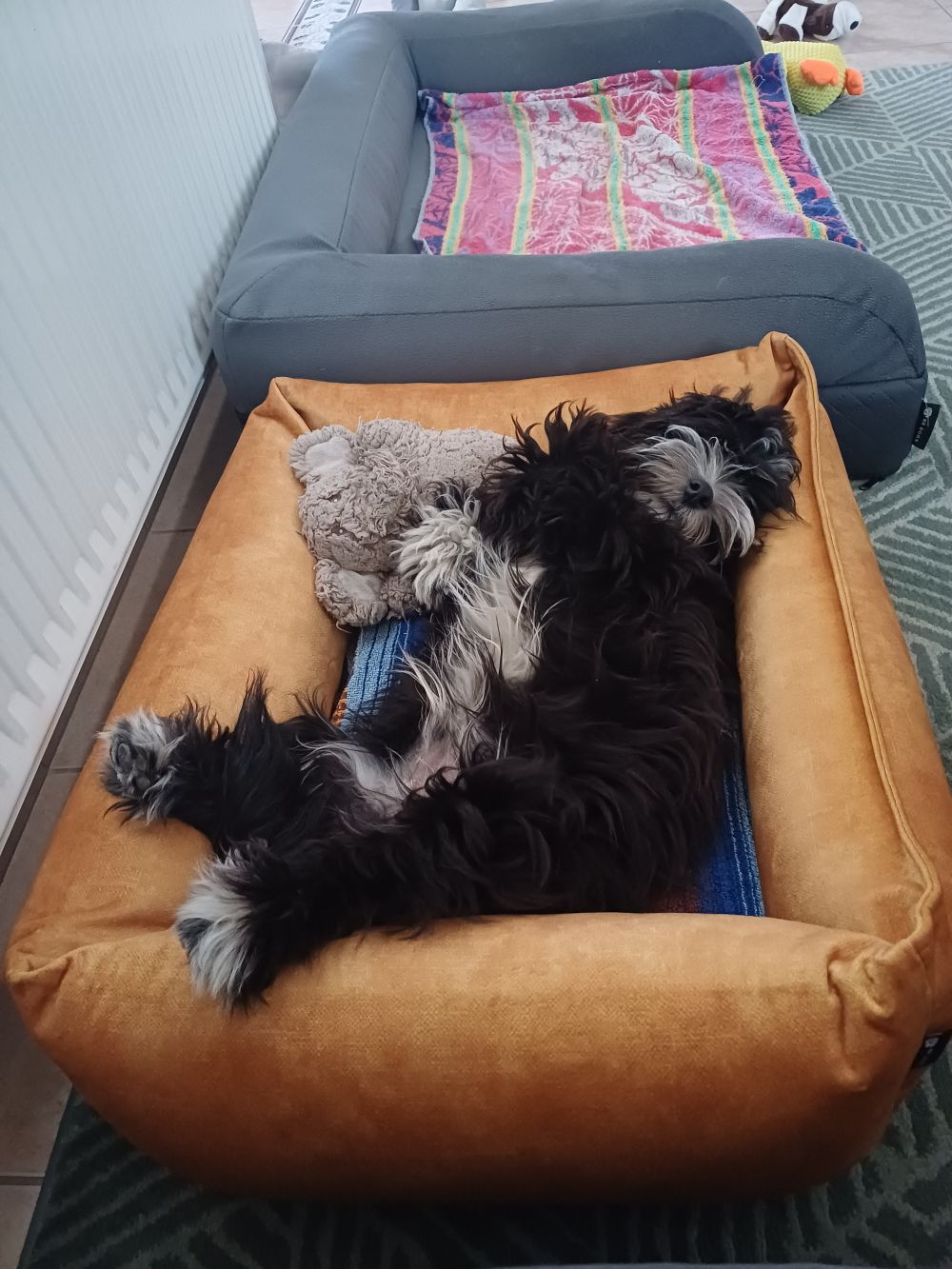 NRDOGS Basket Kutyafekhely Soft Magic Okker

