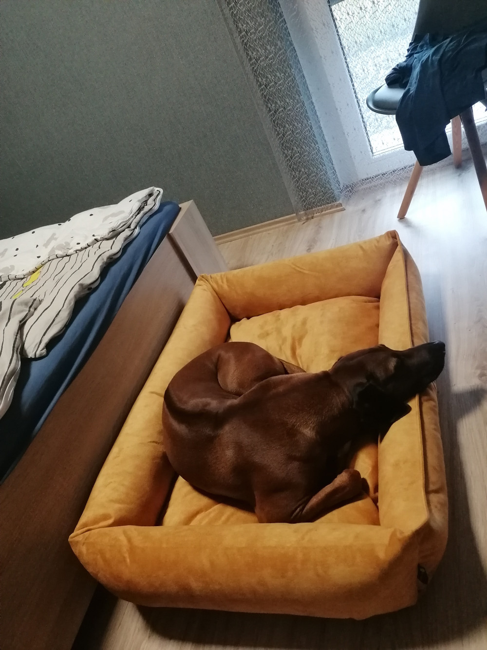 NRDOGS Basket Kutyafekhely Soft Magic Okker
