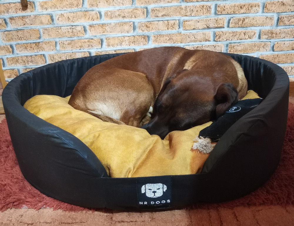 NRDOGS Peremes Kutyafekhely Soft Magic Okker NRDOGS Peremes Kutyafekhely Soft Magic Okker