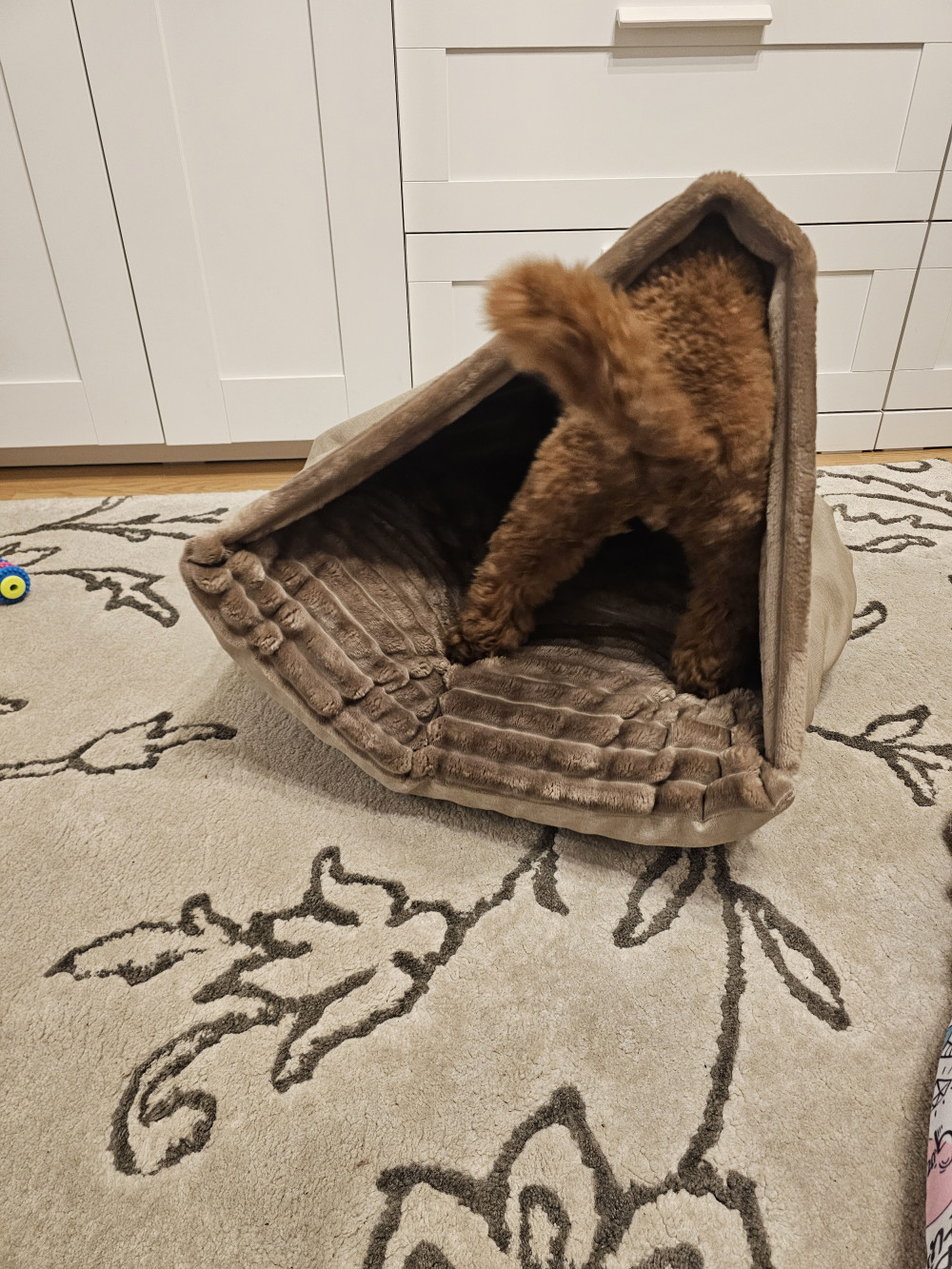 Bebújós kutyafekhely Zuma Beige L (90x56cm)
