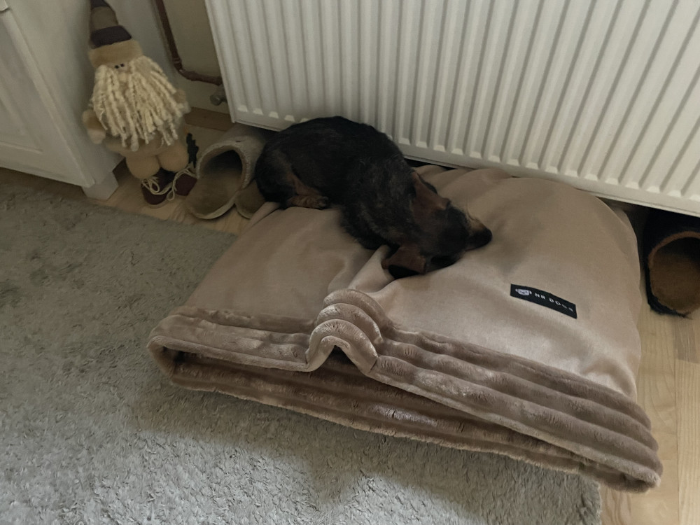 Bebújós kutyafekhely Zuma Beige L (90x56cm)
