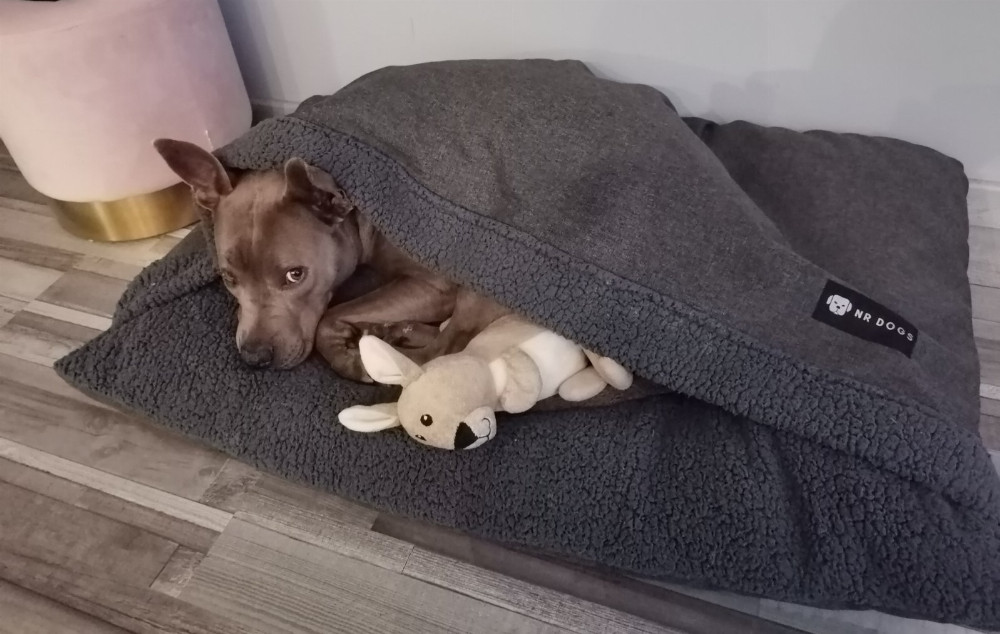 Bebújós kutyafekhely sherpa grey Bebújós kutyafekhely sherpa grey
