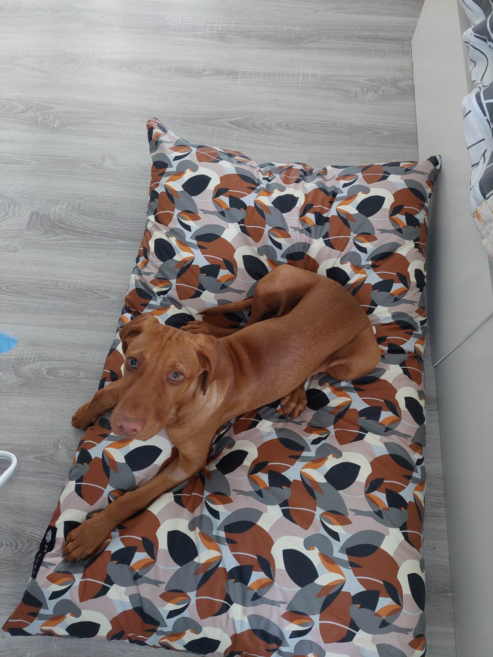 NRDOGS Basic Kutyafekhely Art Pava NRDOGS Basic Kutyafekhely Art Pava