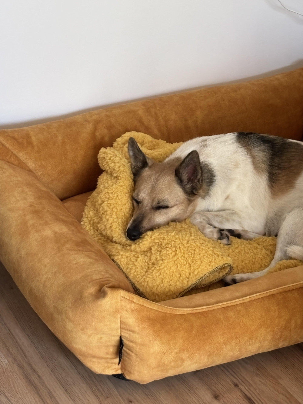 NRDOGS Basket Kutyafekhely Soft Magic Okker
