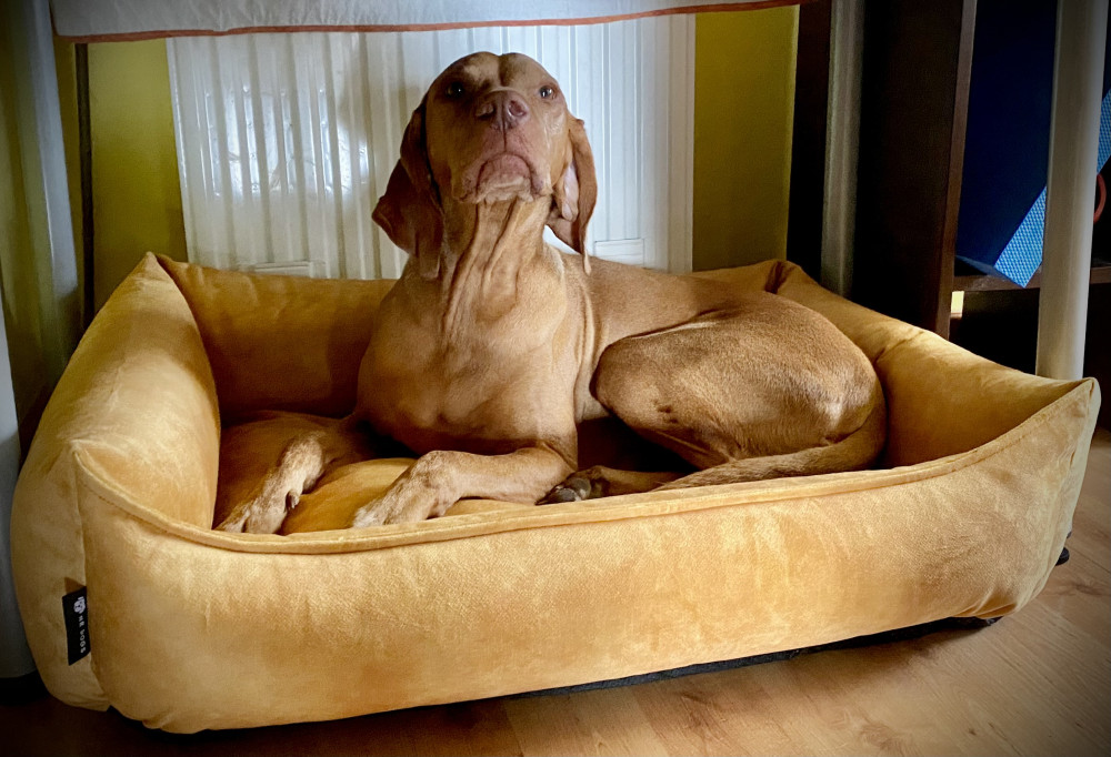 NRDOGS Basket Kutyafekhely Soft Magic Okker
