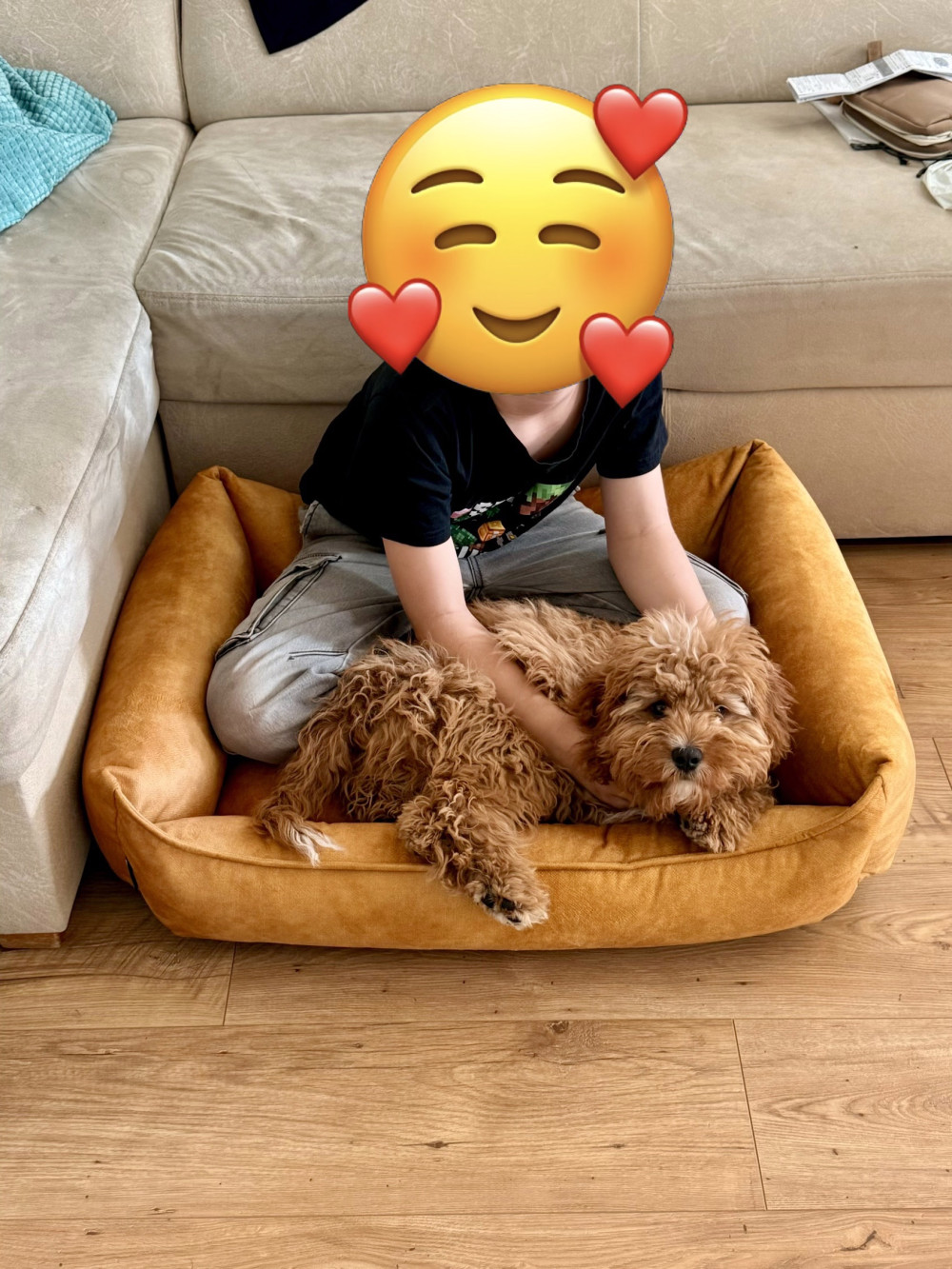 NRDOGS Basket Kutyafekhely Soft Magic Okker
