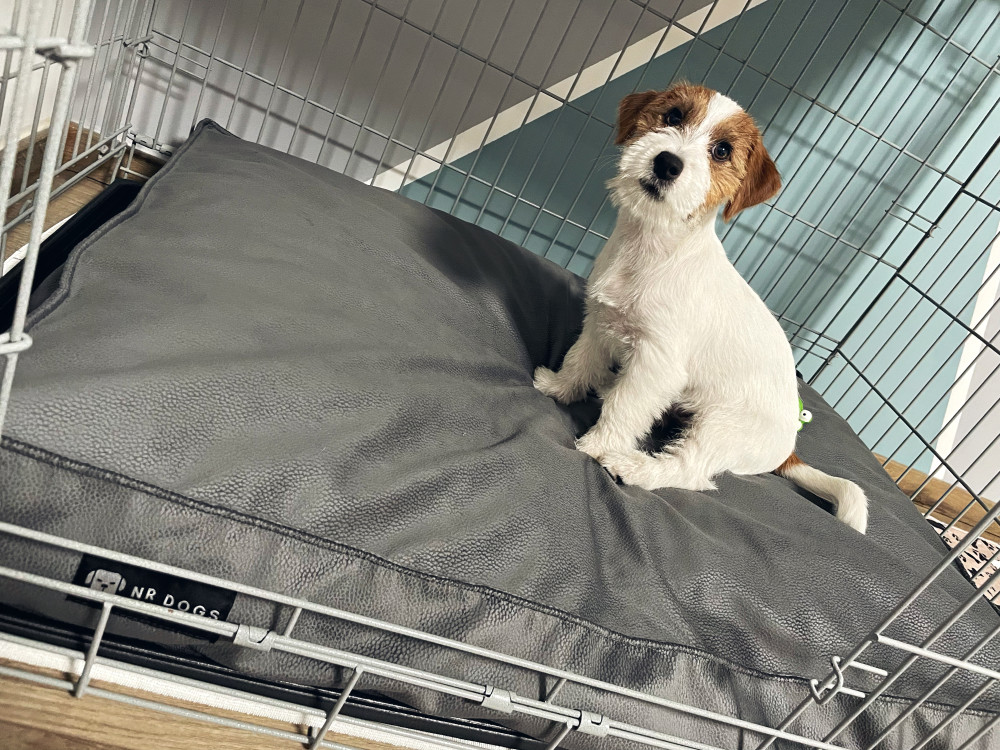 NRDOGS Comfort Kutyafekhely Türkiz NRDOGS Comfort Kutyafekhely Türkiz