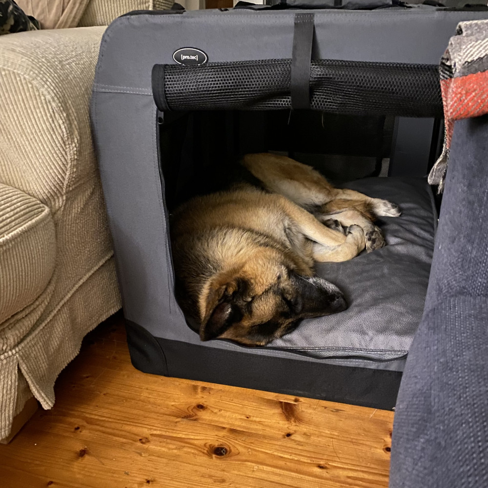 NRDOGS Comfort Kutyafekhely Türkiz NRDOGS Comfort Kutyafekhely Türkiz
