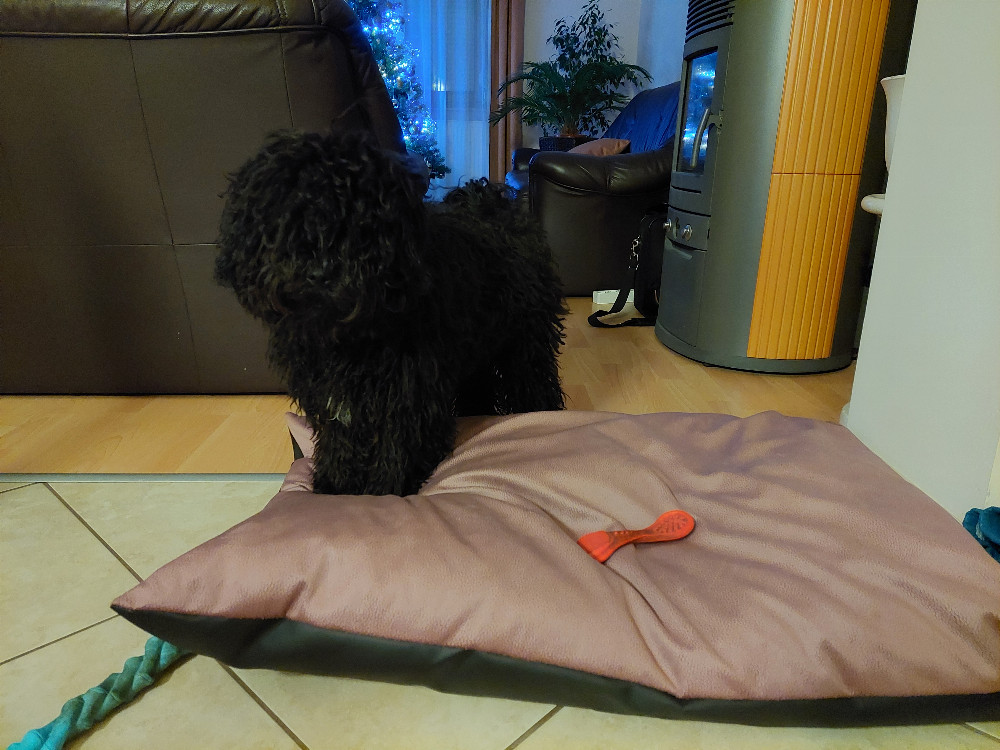NRDOGS Basic Kutyafekhely Fun Aztek NRDOGS Basic Kutyafekhely Fun Aztek