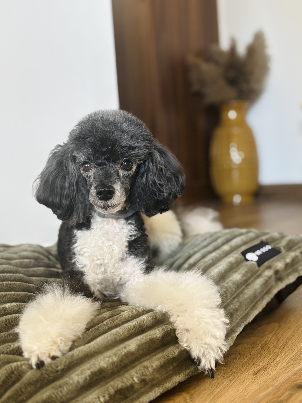 HUZAT Basic Kutyafekhelyre Zuma Green L (90x56cm)
